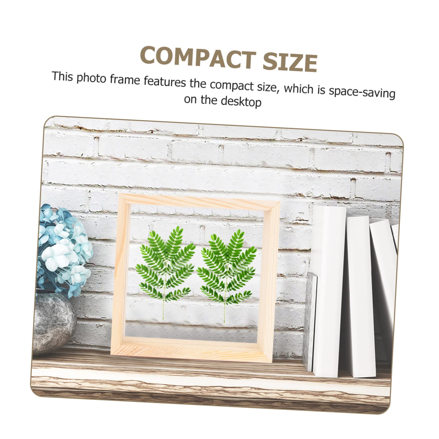 Amazon.co.jp: Ciieeo 6インチ グリーン植物標本フレーム 両面ガラス